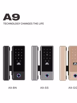 A9-02 Vergleich der Frontansicht zweier Smart-Lock-Ausführungen mit elegantem vertikalem Design