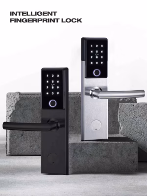 Smart-Schloss mit Fingerabdruckerkennung und hintergrundbeleuchtetem Touch-Bedienfeld aus gebürstetem Edelstahl und in Mattschwarz