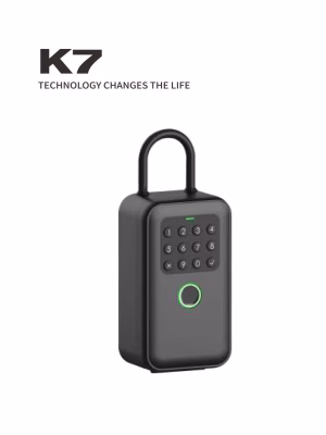 Front view of compact smart key box with raised numeric keypad and status indicator