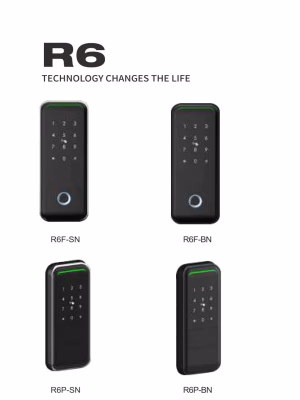 R6-02 smart rim lock lineup with fingerprint and panel variants in black finish